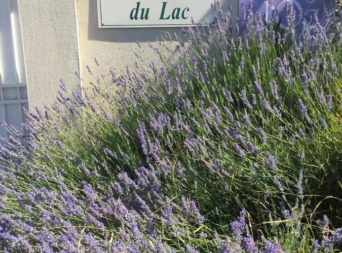 Chez Tranquille, 43 Montblanc